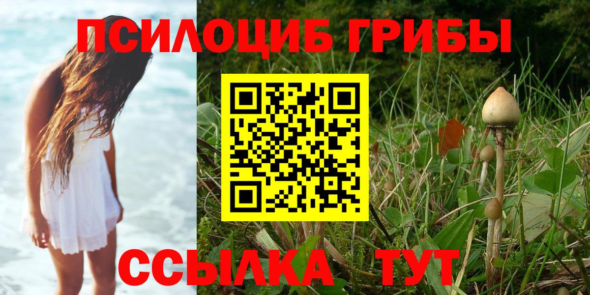 Северск  купить наркоту  Вход с VPN  Галлюциногенные грибы мицелий 