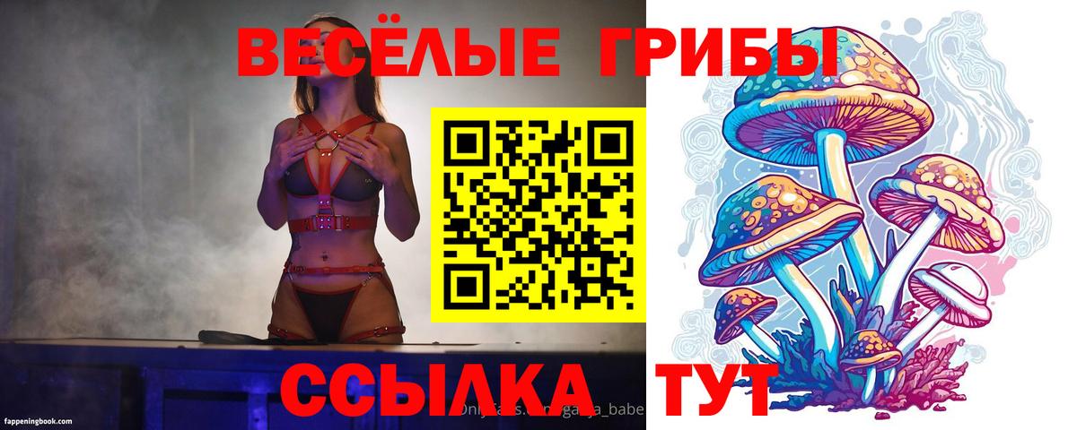 Галлюциногенные грибы ЛСД Северск